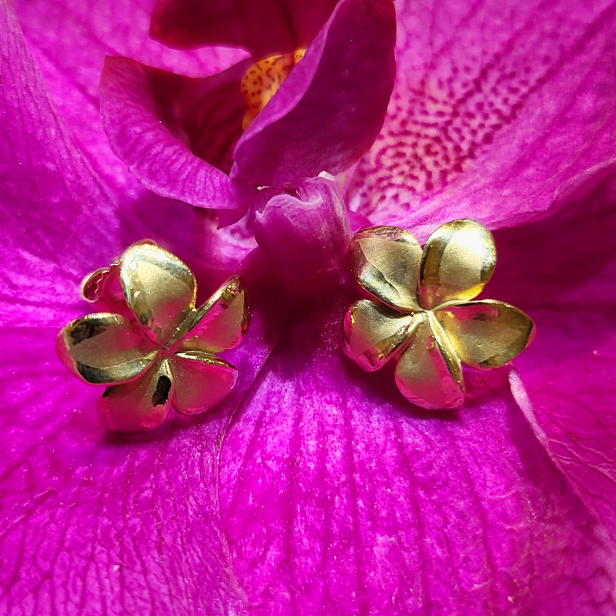14K  Plumeria Stud Earrings (12mm)